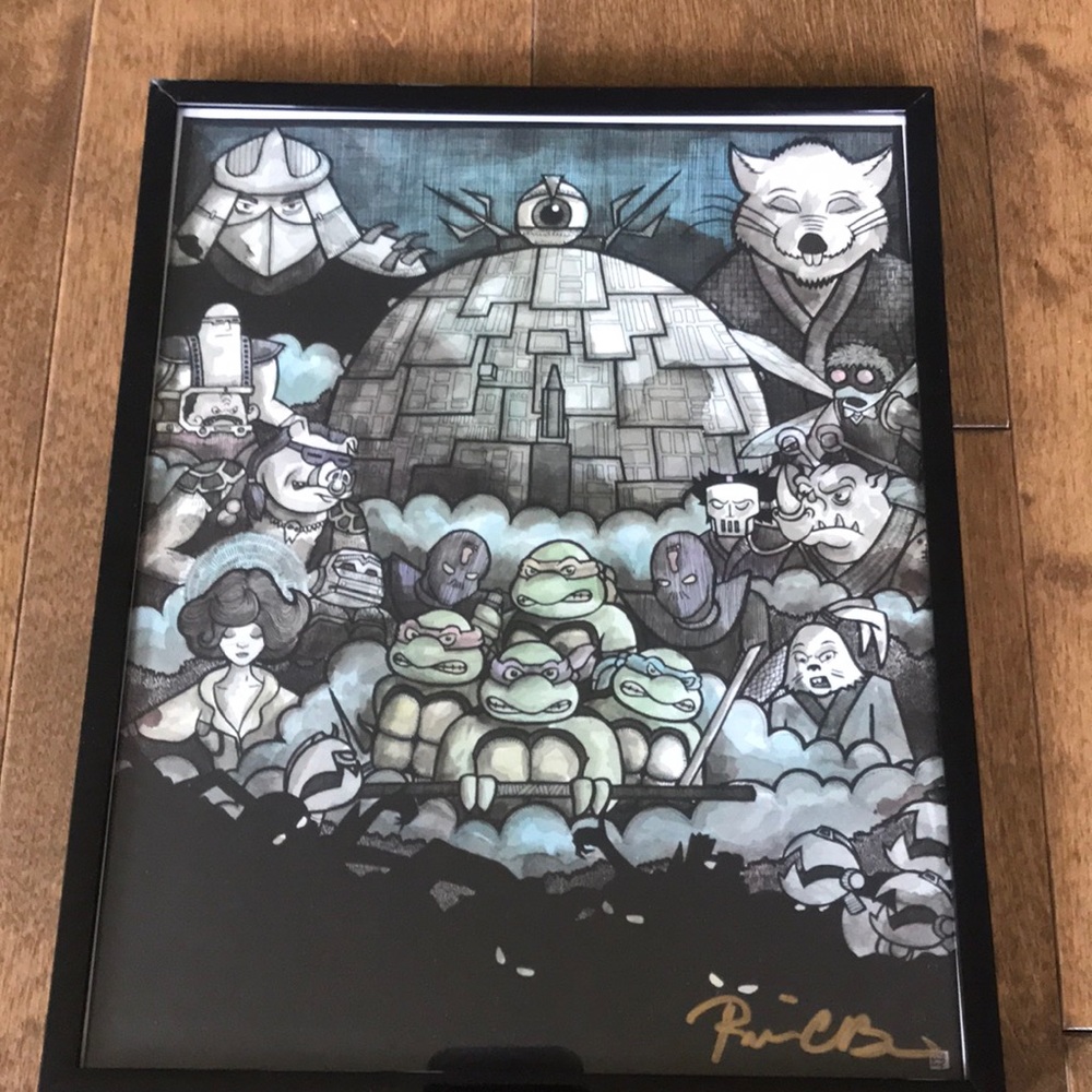 Teenage Mutant Ninja Turtles Print